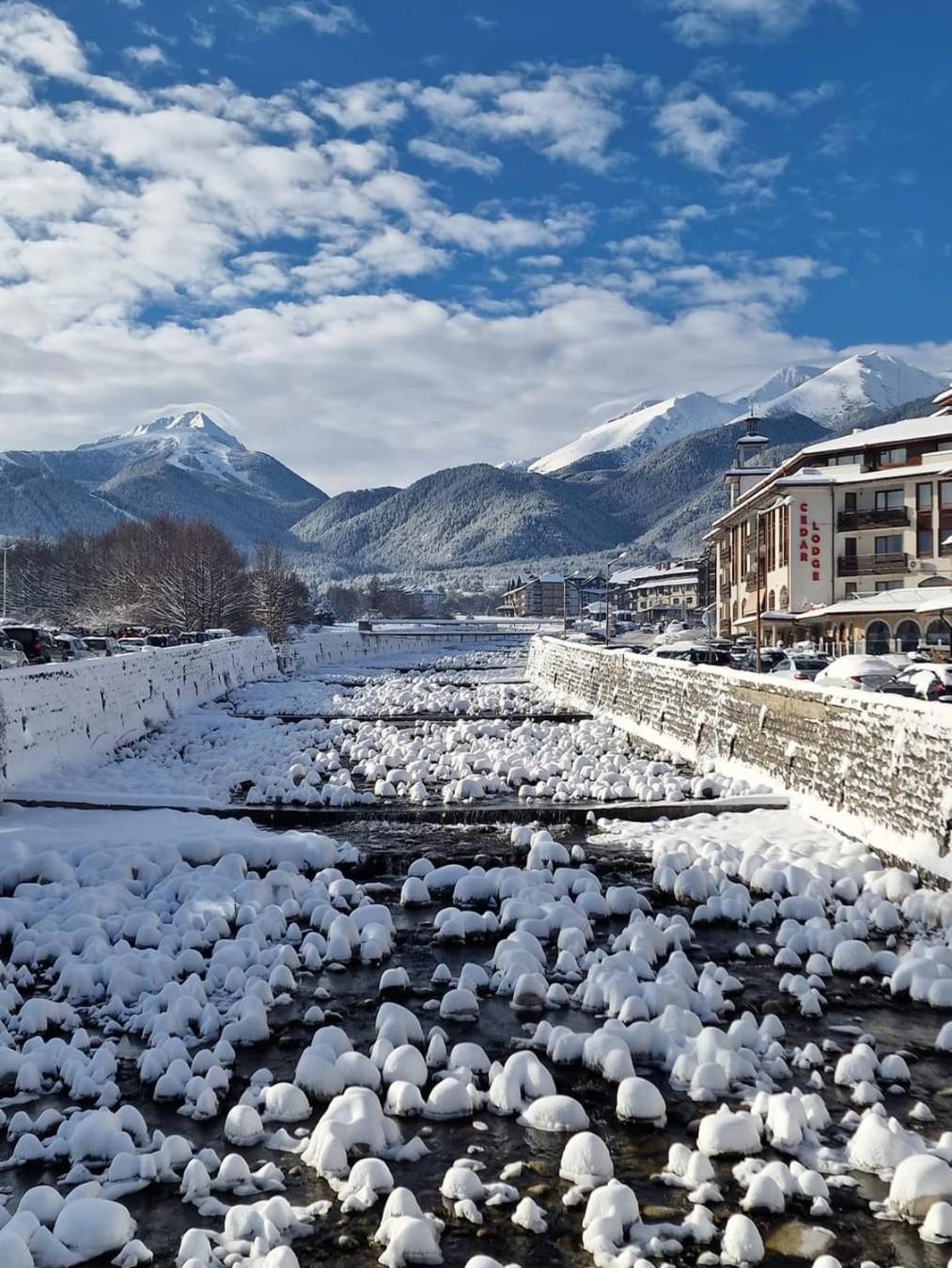 Studio Bella, Bansko Exterior foto